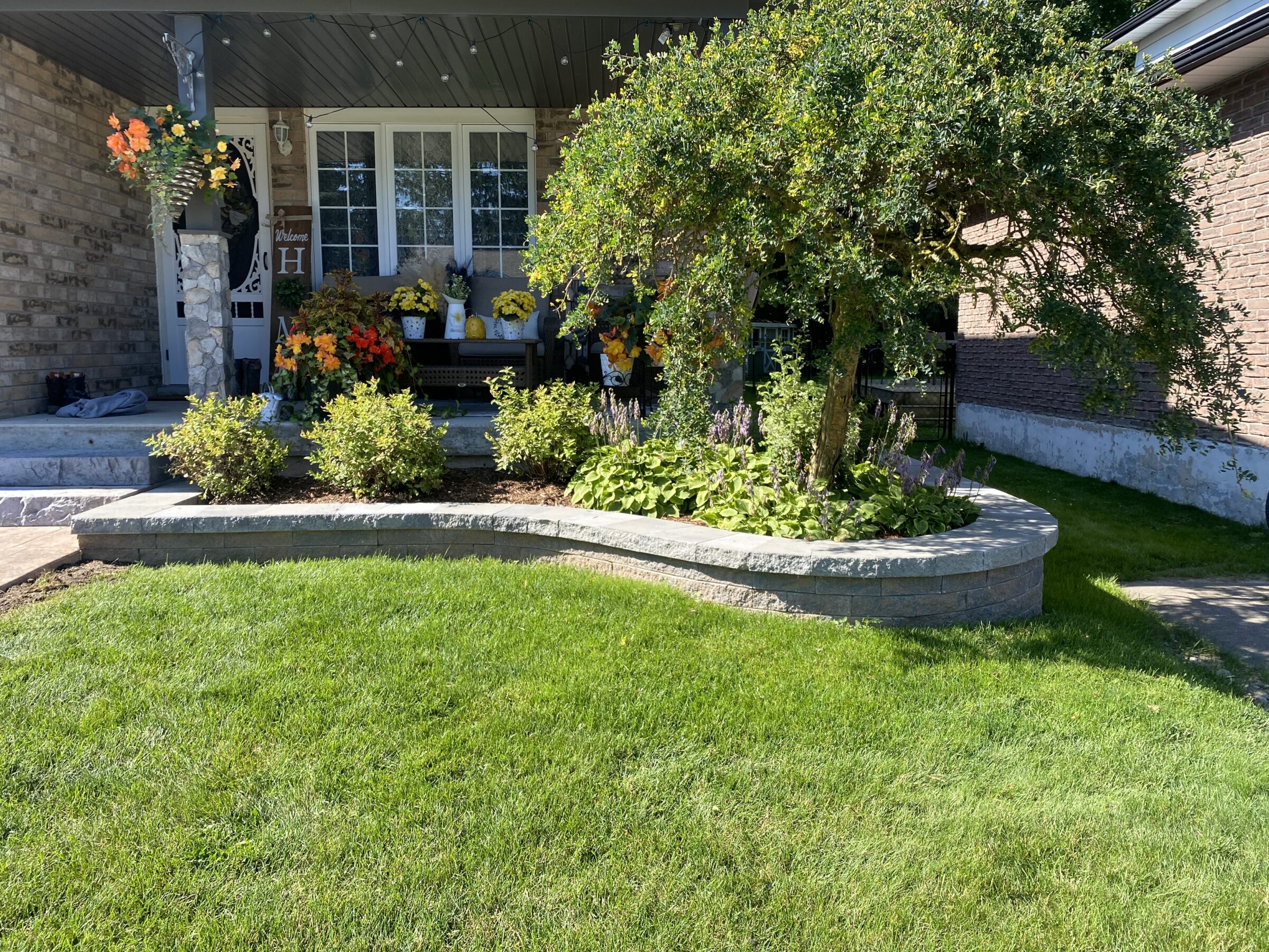 A cozy porch with vibrant flowers, a lush tree in a stone planter, and a welcoming bench under a brick house front.
