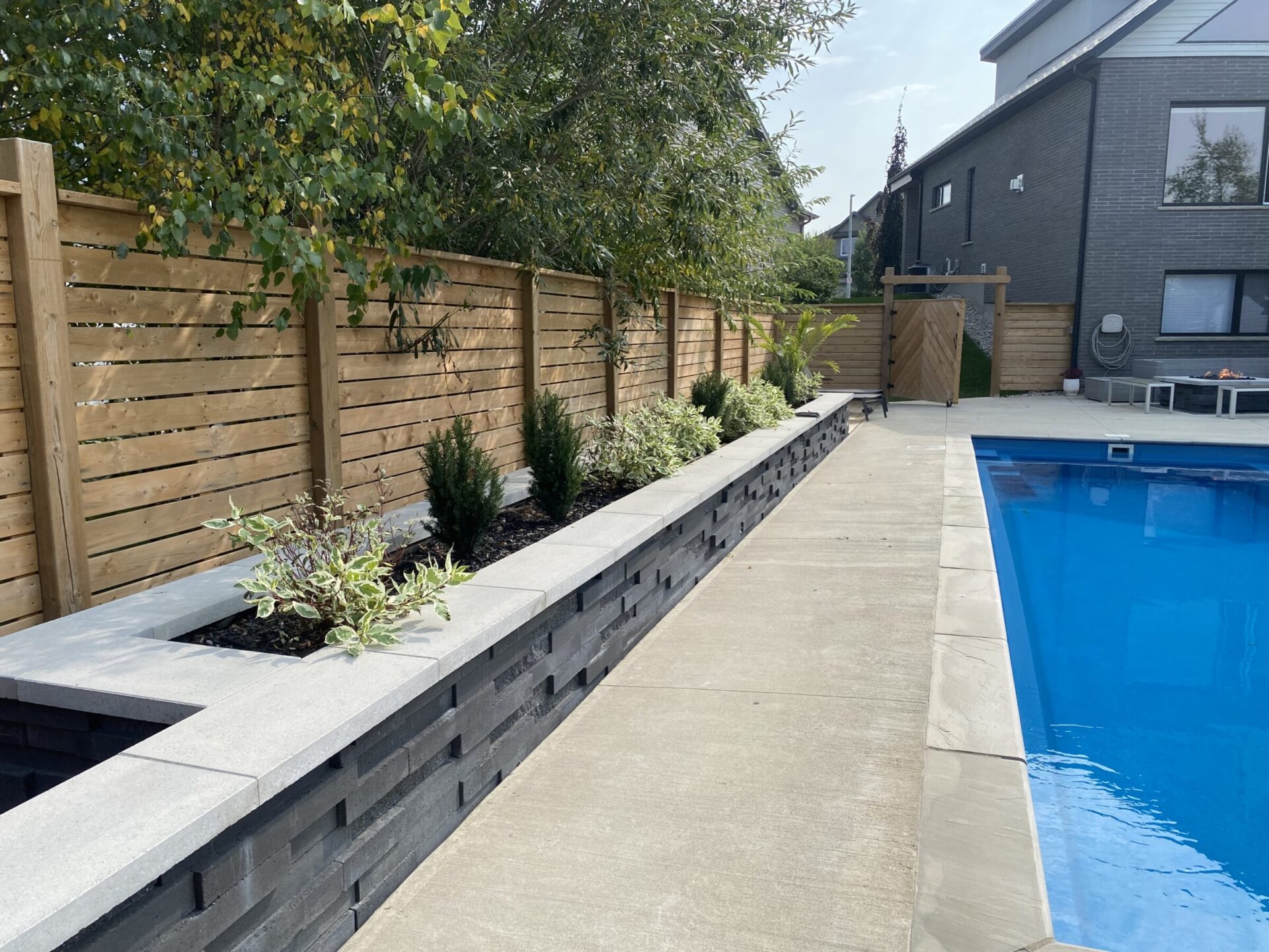 A modern backyard features a blue swimming pool, wooden privacy fence, and neatly arranged plants alongside a sleek, paved patio area.