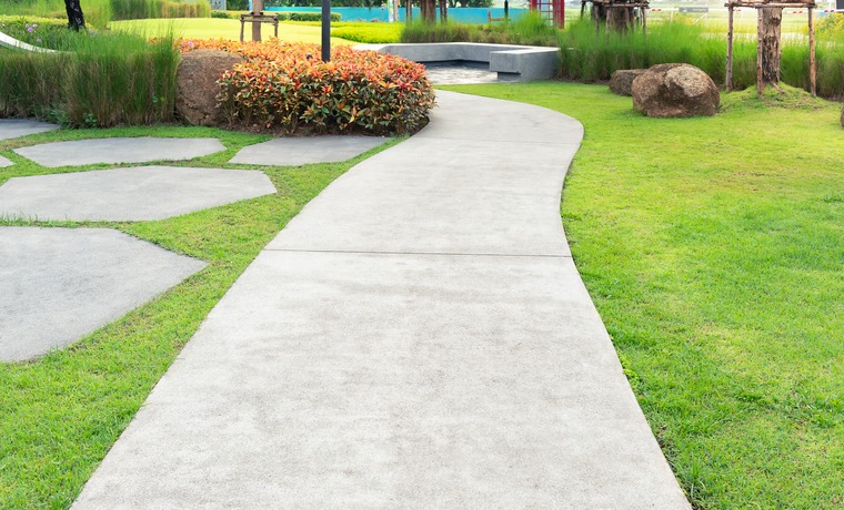 Walkway and bush in garden.